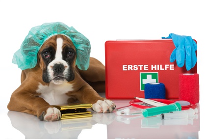 Tierklinik